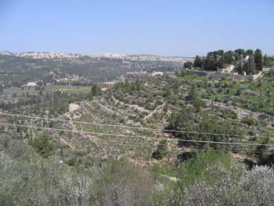 Area near Holy Child Program